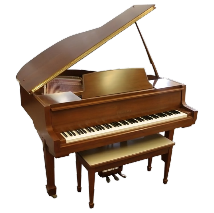 grand piano. musical instrument for sale. music store