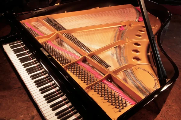 Rebuilt Steinway Model M Grand Piano - Image 3