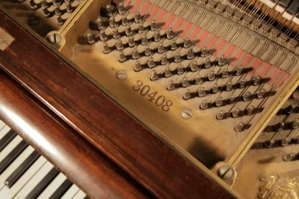 Late 19th Century German Made Chippendale Chinese Style Schiedmayer Piano - Image 4