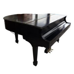 Buy Steinway Model S piano Cape Town